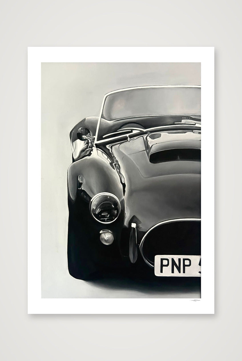 AC Cobra print — 70×100cm, 28×39" Print only
