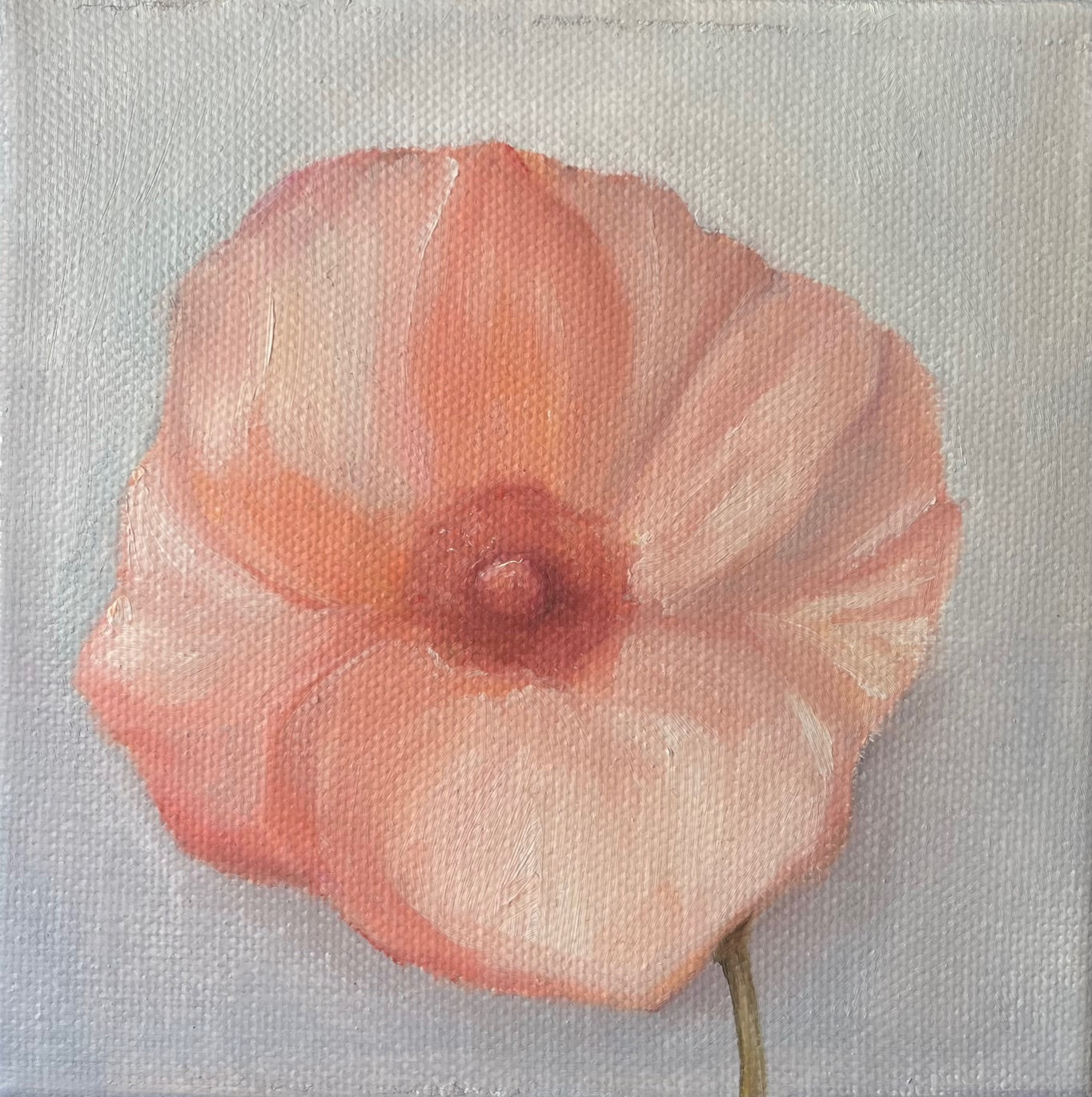 Nipple flower series
