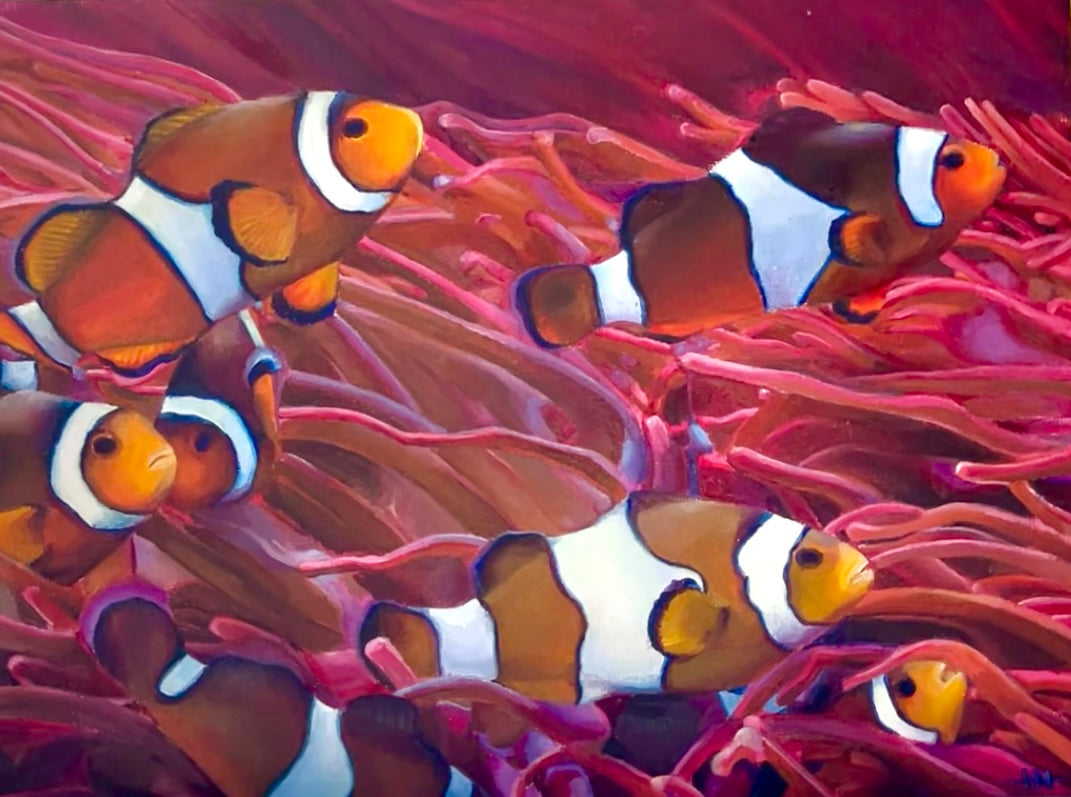 Clownfish commission