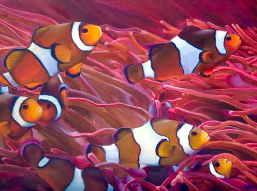 Clownfish commission