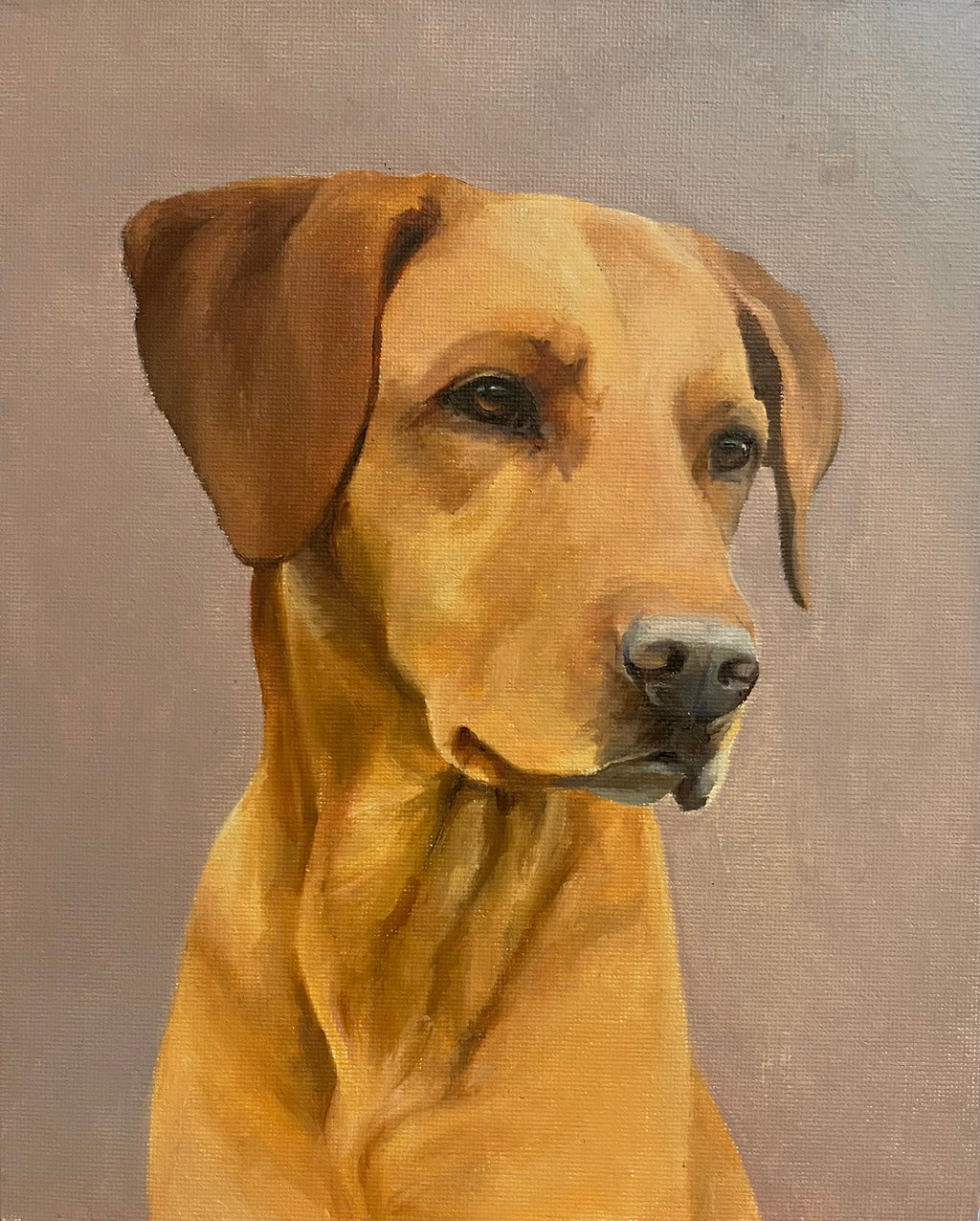 Dog commission