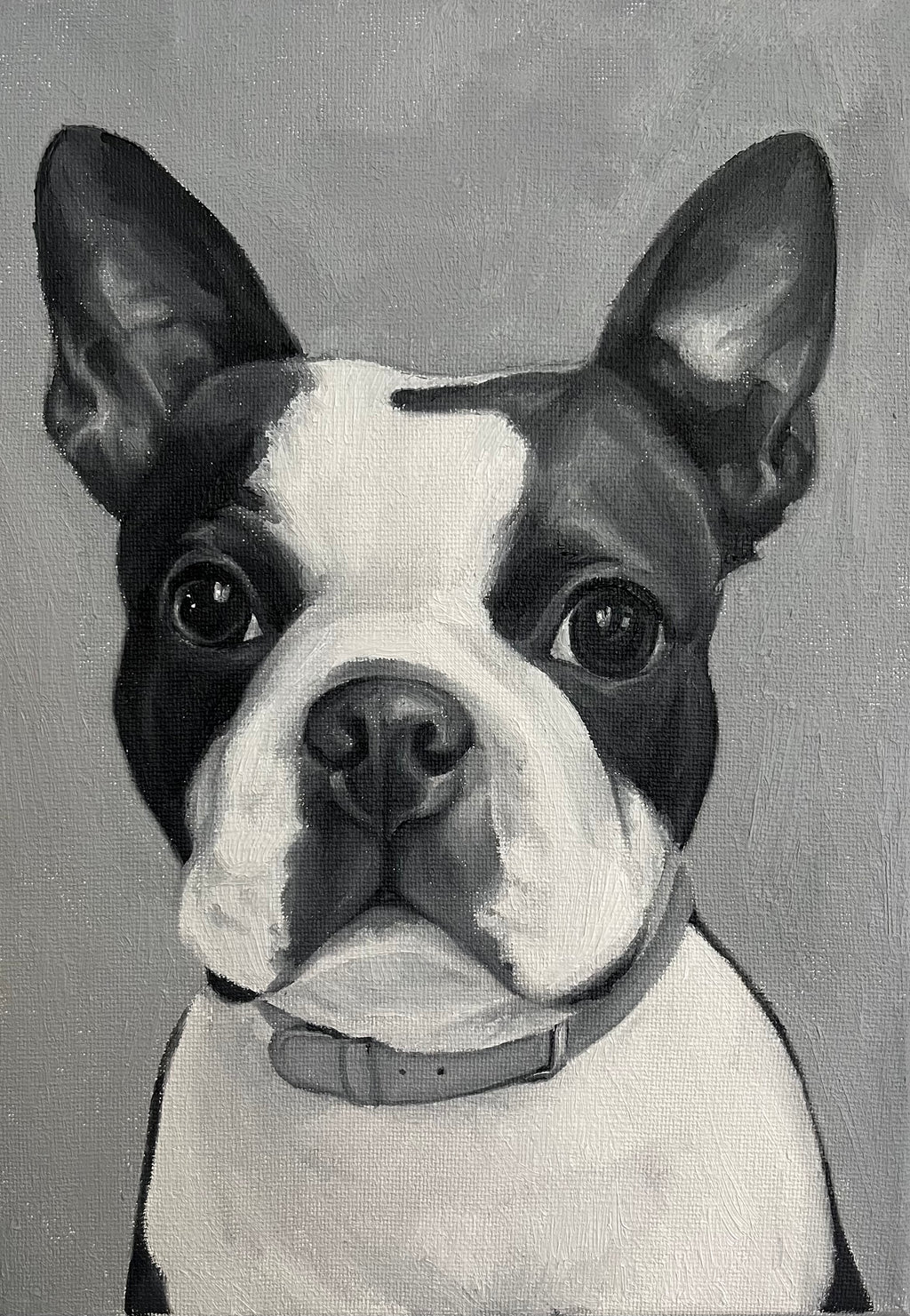 French Bulldog commission