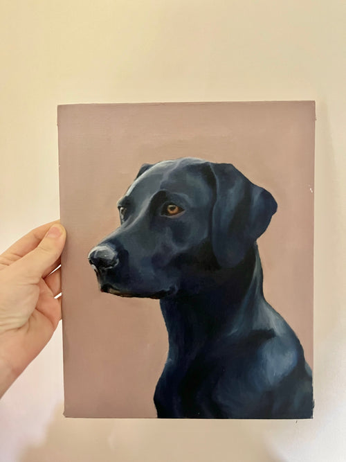 Black Lab commission