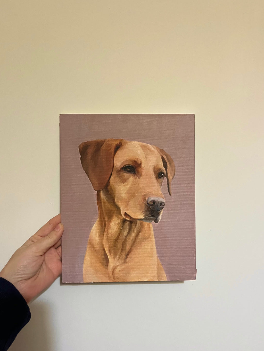 Dog commission