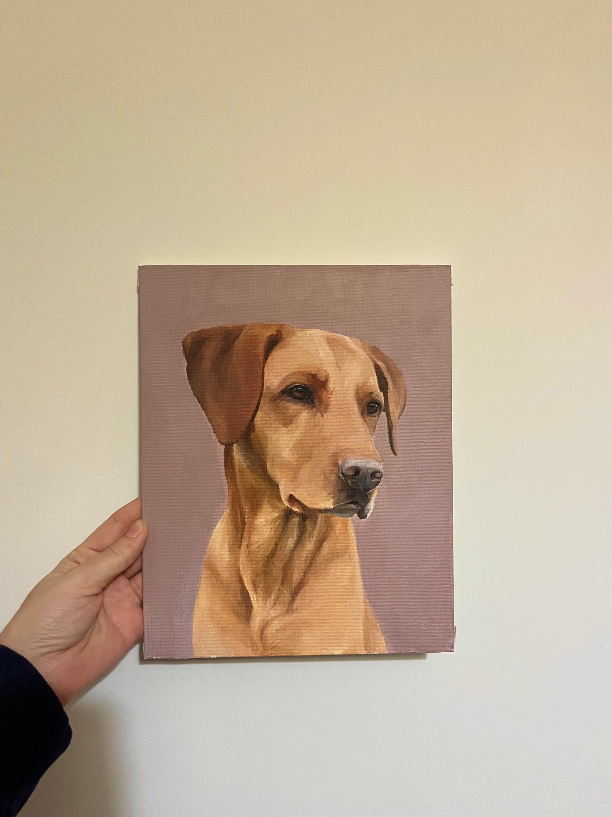 Dog commission