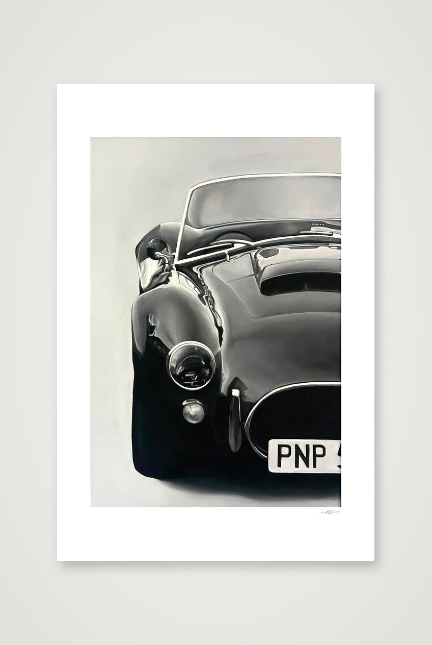 AC Cobra print — 40×60cm, 16×24" Print only