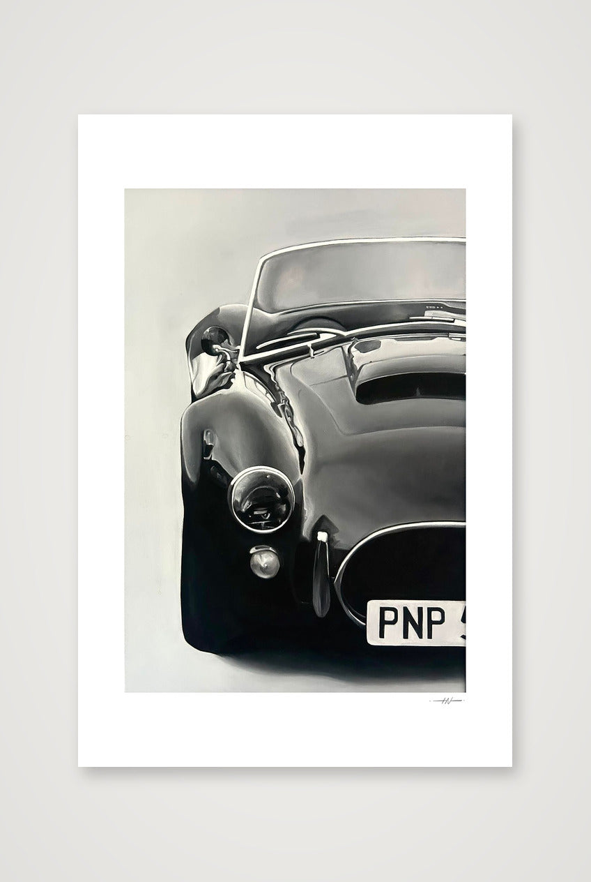 AC Cobra print — 30×45cm, 12×18" Print only