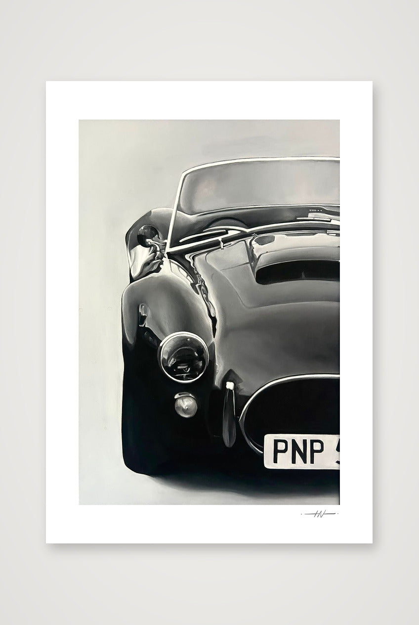 AC Cobra print — A4 (21×30cm, 8×12") Print only