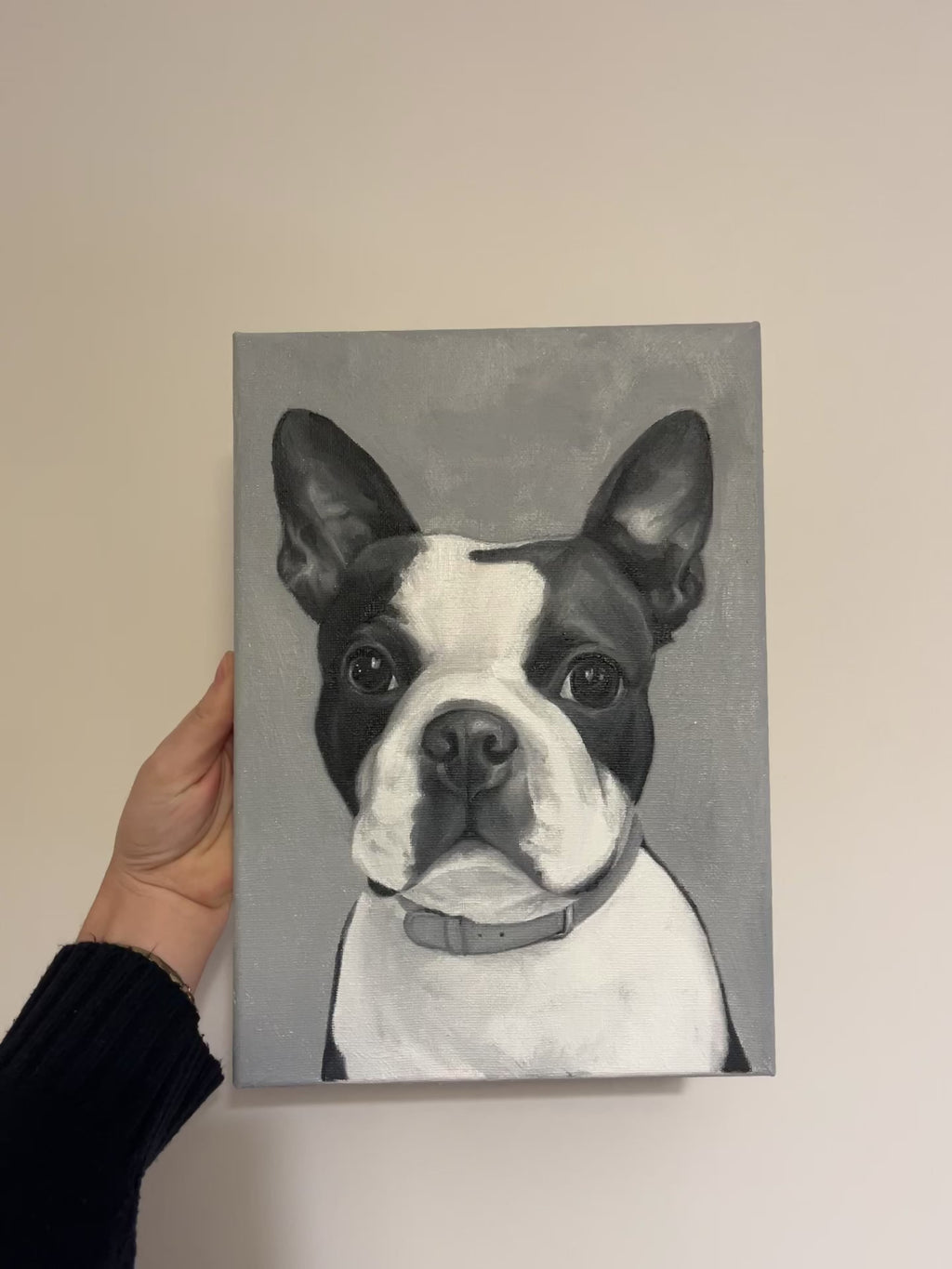 French Bulldog commission