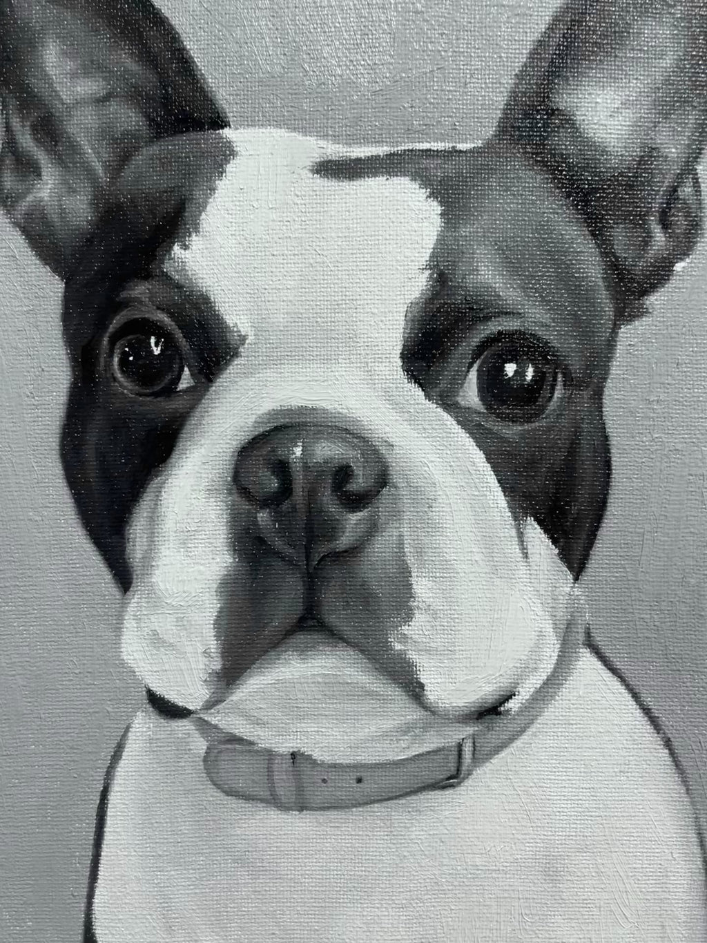 French Bulldog commission