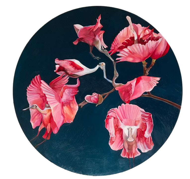 Roses of Spoonbills